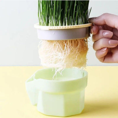 Cat Snack Mint Planting Hydroponic Plastic Box Cat Pot Contrast Hydroponic Det Cat Grass Plant Bowl without seed Garden Supply - Lily Depot