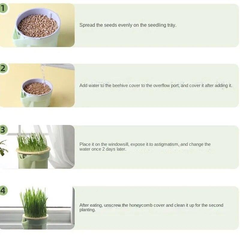 Cat Snack Mint Planting Hydroponic Plastic Box Cat Pot Contrast Hydroponic Det Cat Grass Plant Bowl without seed Garden Supply - Lily Depot