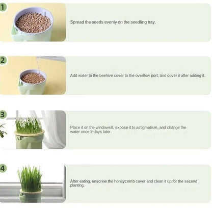 Cat Snack Mint Planting Hydroponic Plastic Box Cat Pot Contrast Hydroponic Det Cat Grass Plant Bowl without seed Garden Supply - Lily Depot