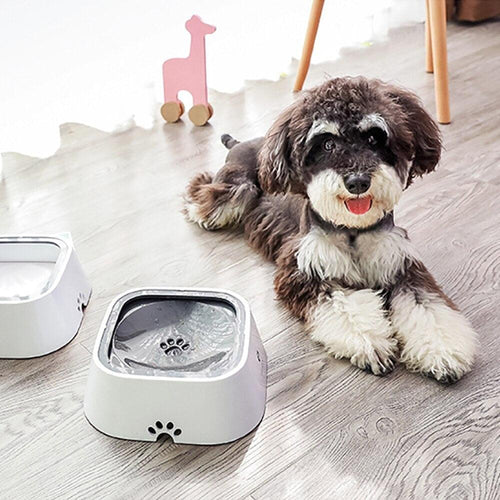 1500ml Portable Dog Water Bowl For Small Big Dogs Pet Drinker Water Floating Non-Wetting Mouth Cat Bowl Plastic Dog Supplies - Lily Depot