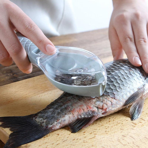 Fish skin brush scraping fish scale brush grater quick disassembly fish knife cleaning peeling skin scraper scraper fish scaler - Lily Depot